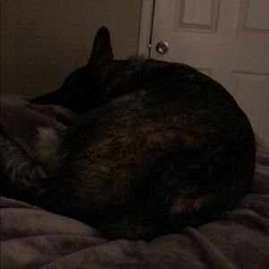 Meet your Posher, Jen